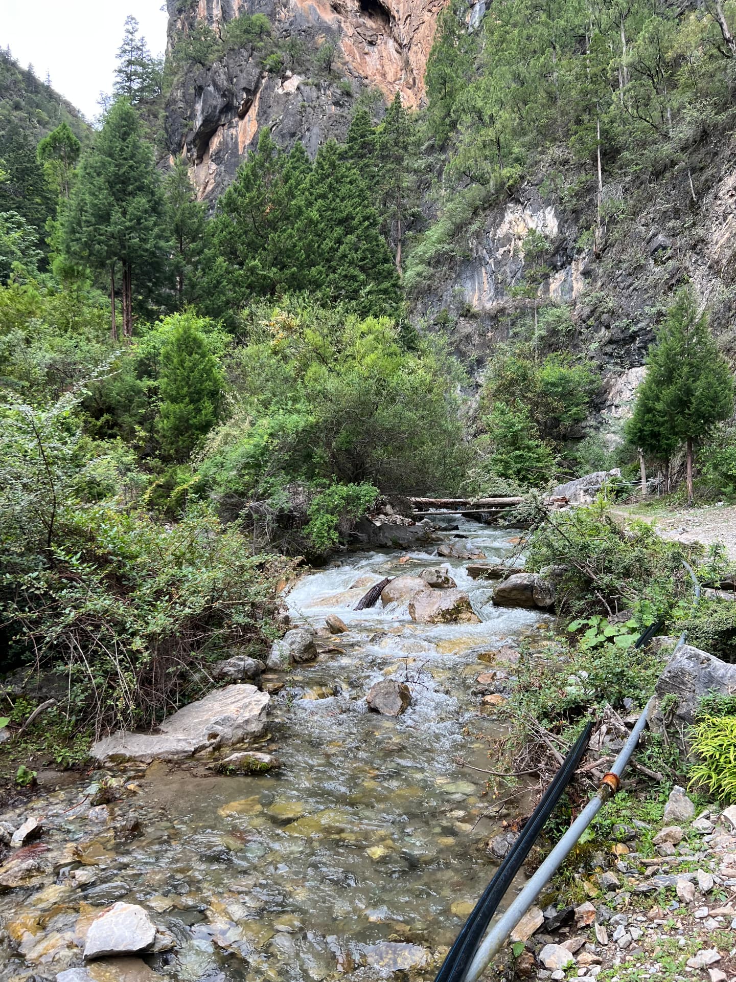 Mountain stream below limestone cliffs